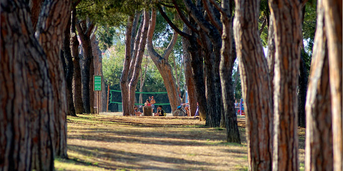 Pineto foto 2